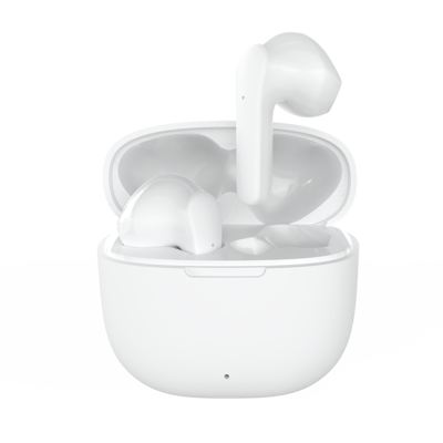 W15 TWS Earbuds